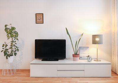 Monteurzimmer mit TV und WLAN